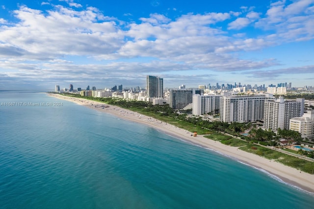 bird's eye view with a view of the beach and a water view