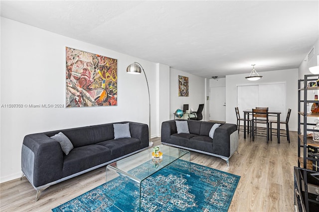 living room featuring wood-type flooring