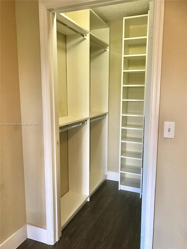 spacious closet featuring dark hardwood / wood-style floors