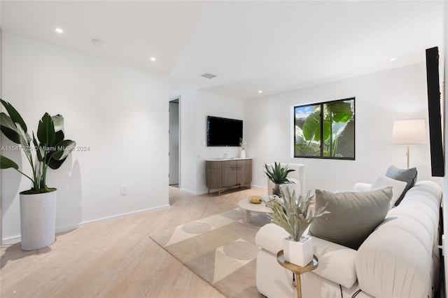 living room featuring light hardwood / wood-style flooring