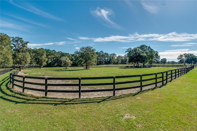 view of yard featuring a rural view