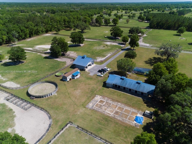 7787 NW 150th Ave, Ocala, FL 32668 - view of property location featuring a heavily wooded area