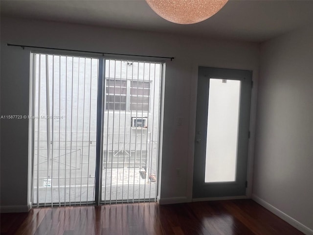 doorway with hardwood / wood-style flooring and a wealth of natural light