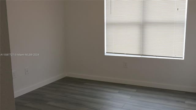 empty room featuring a wealth of natural light and wood-type flooring