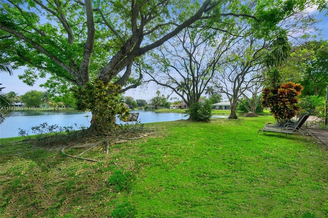 view of yard with a water view