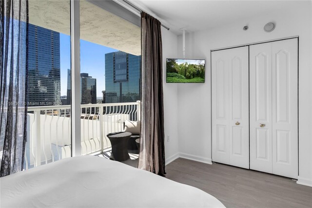 bedroom with hardwood / wood-style floors and a closet