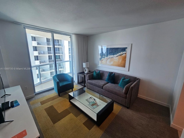 living room with sink and carpet