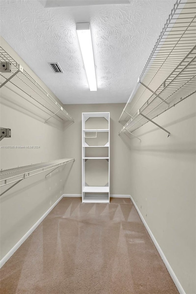 walk in closet with carpet