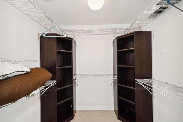 spacious closet featuring light colored carpet