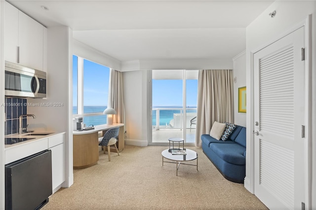 carpeted living room with sink and a water view