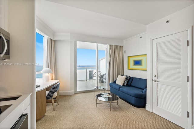 living room with ornamental molding, light carpet, and a water view