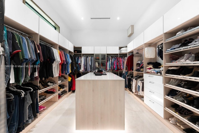 view of walk in closet