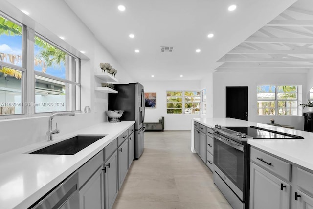 kitchen featuring a healthy amount of sunlight, sink, gray cabinets, and stainless steel appliances