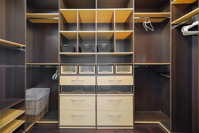 spacious closet featuring dark hardwood / wood-style floors