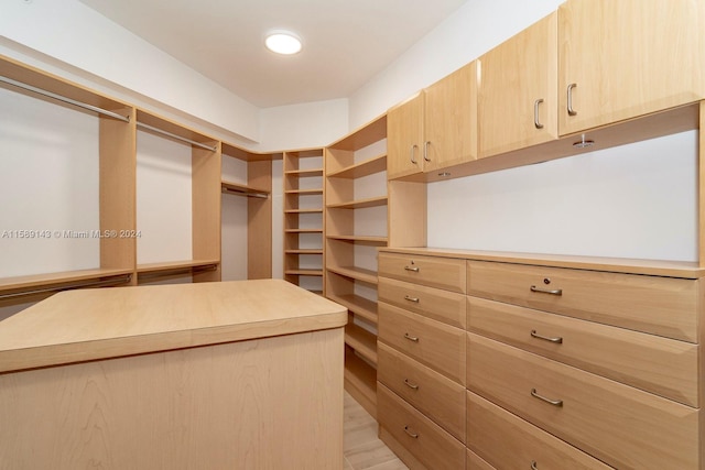 spacious closet with light hardwood / wood-style floors