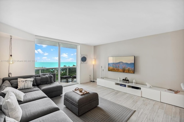 living room with light hardwood / wood-style flooring and a wall of windows