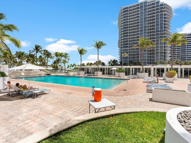 view of pool featuring a patio area