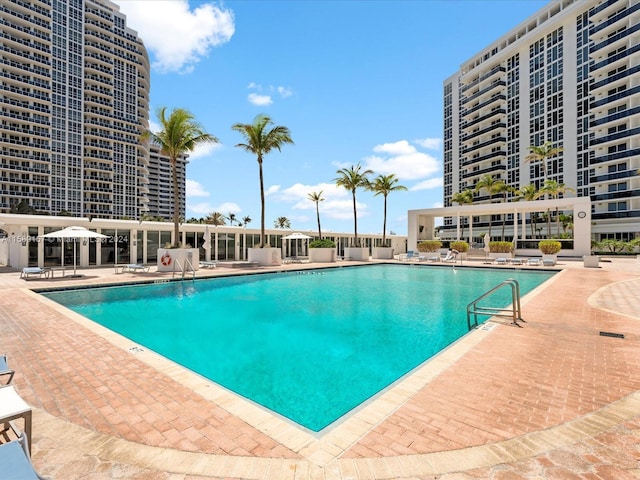 view of pool with a patio area