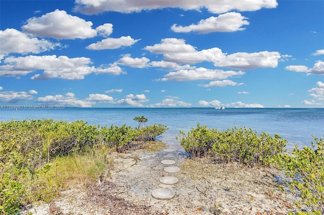 property view of water