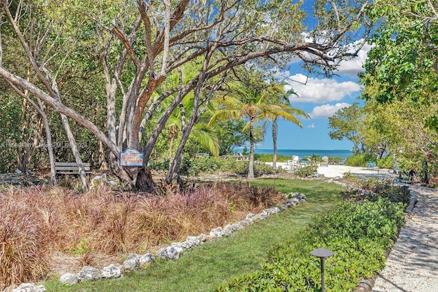 view of yard with a water view