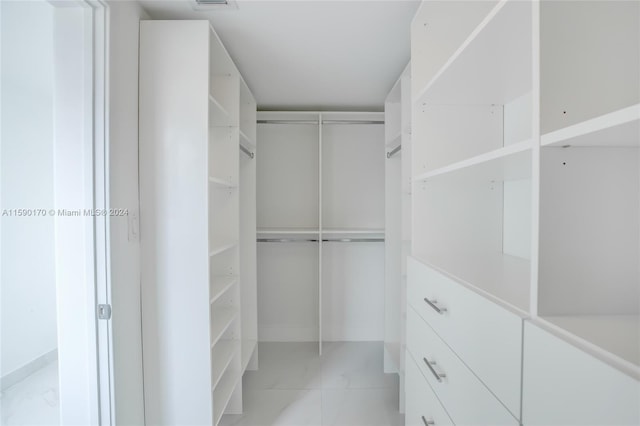 view of spacious closet