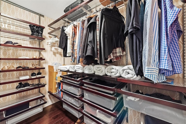 spacious closet with dark wood-type flooring