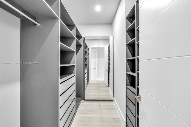 spacious closet featuring light wood-type flooring