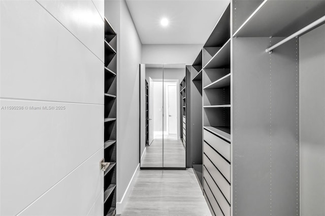 walk in closet featuring light wood-type flooring