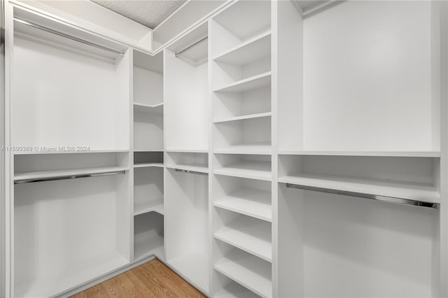 walk in closet with light wood-type flooring