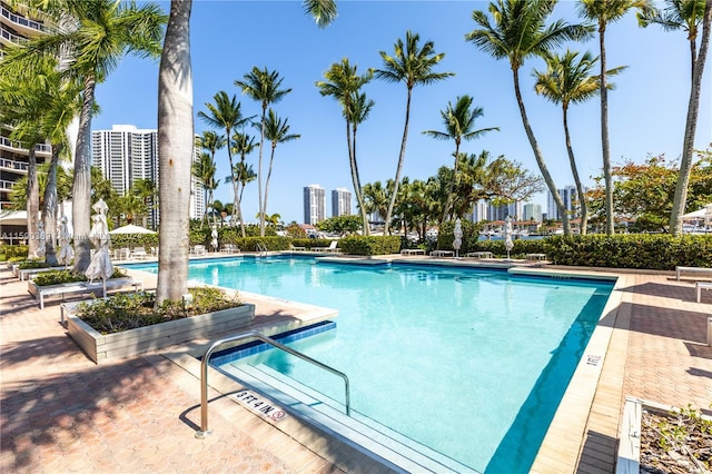 view of pool featuring a patio