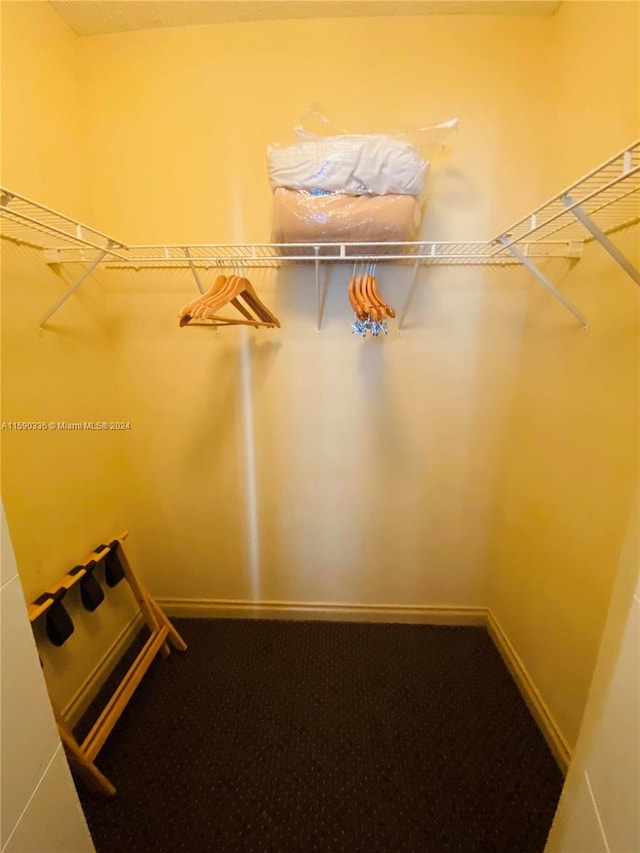 spacious closet featuring carpet floors