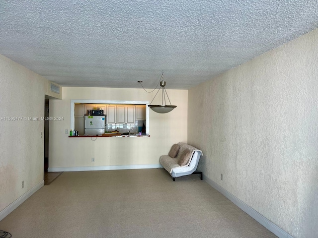 interior space featuring a textured ceiling and carpet floors