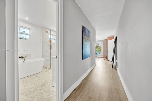 hall with a healthy amount of sunlight and light wood-type flooring