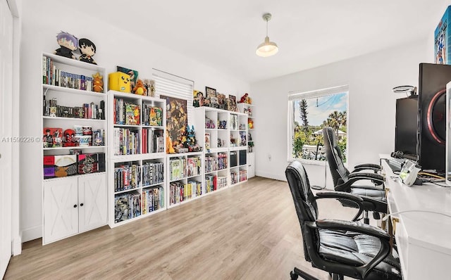 office space featuring light hardwood / wood-style flooring