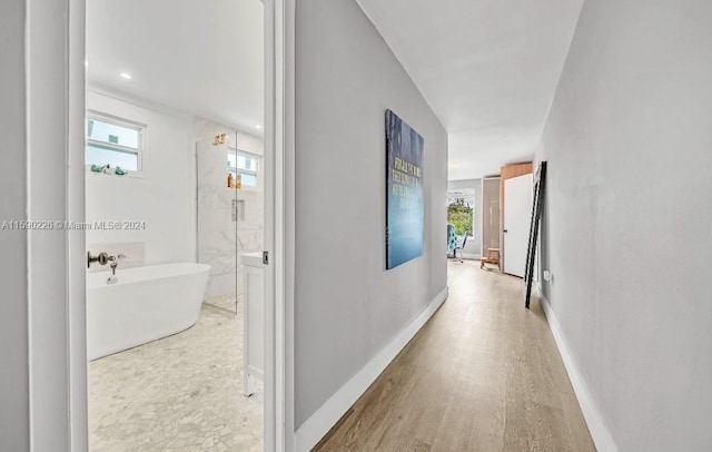 hallway featuring light hardwood / wood-style floors and a healthy amount of sunlight