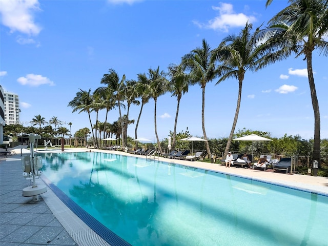 view of swimming pool