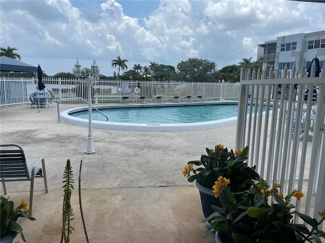 view of pool with a patio