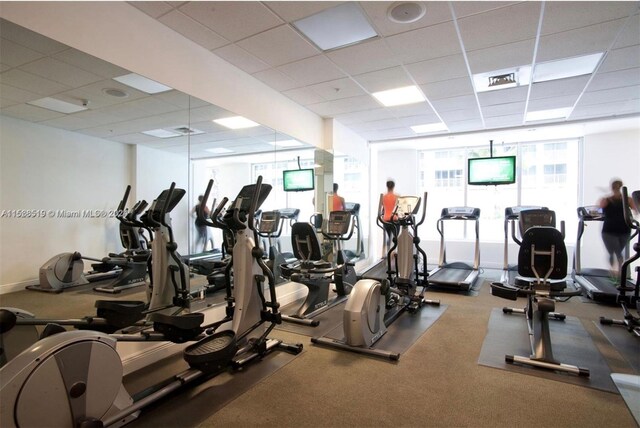 exercise room featuring carpet and a drop ceiling