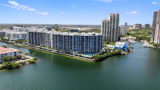 bird's eye view with a city view and a water view