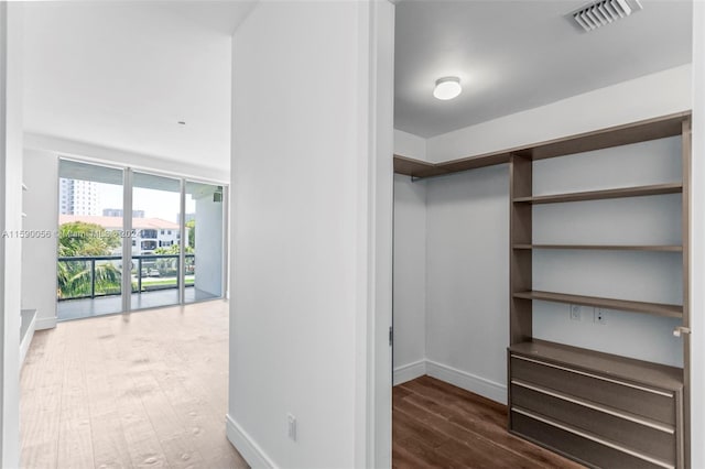 walk in closet with hardwood / wood-style floors