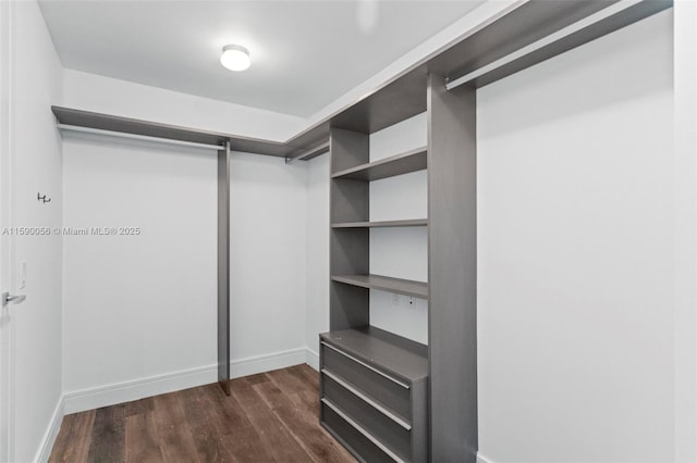 walk in closet with dark wood-style floors