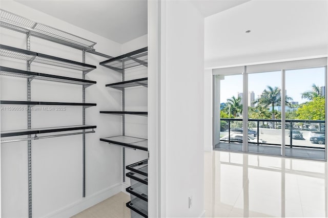 view of walk in closet