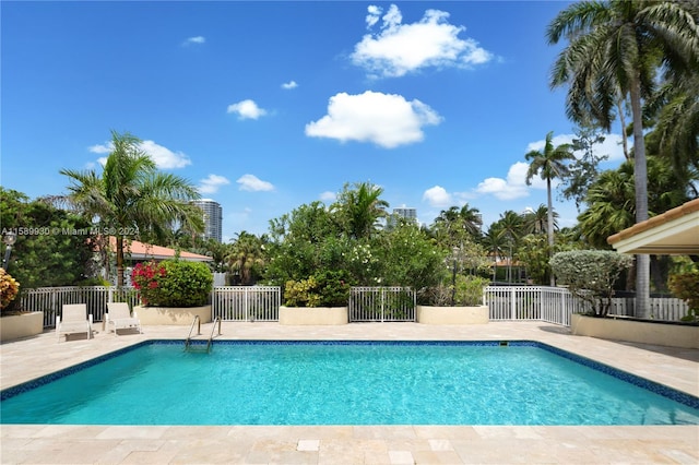 view of pool featuring a patio area