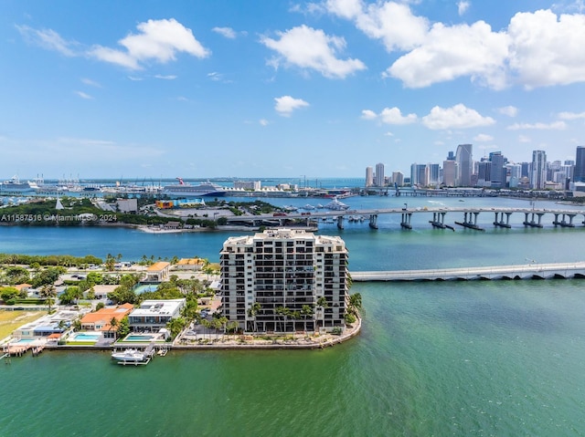 bird's eye view with a water view