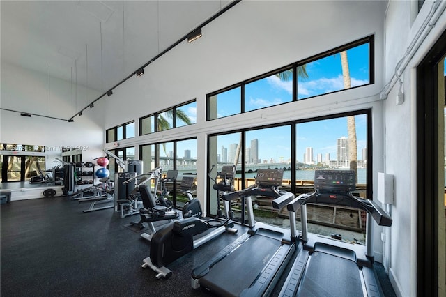 workout area featuring a high ceiling