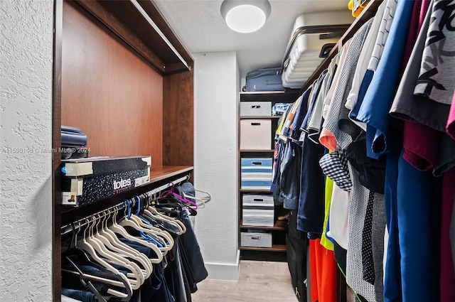 spacious closet featuring light wood-type flooring