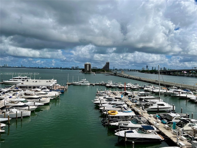 property view of water with a dock