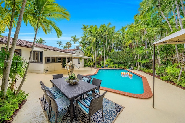 view of swimming pool featuring a patio area