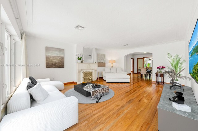 living room featuring hardwood / wood-style flooring