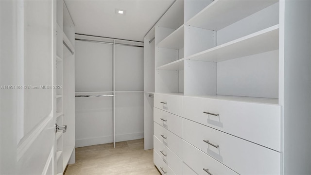 spacious closet featuring light hardwood / wood-style floors